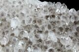 Smoky Quartz Crystal Cluster - Diamond Hill, South Carolina #91241-2